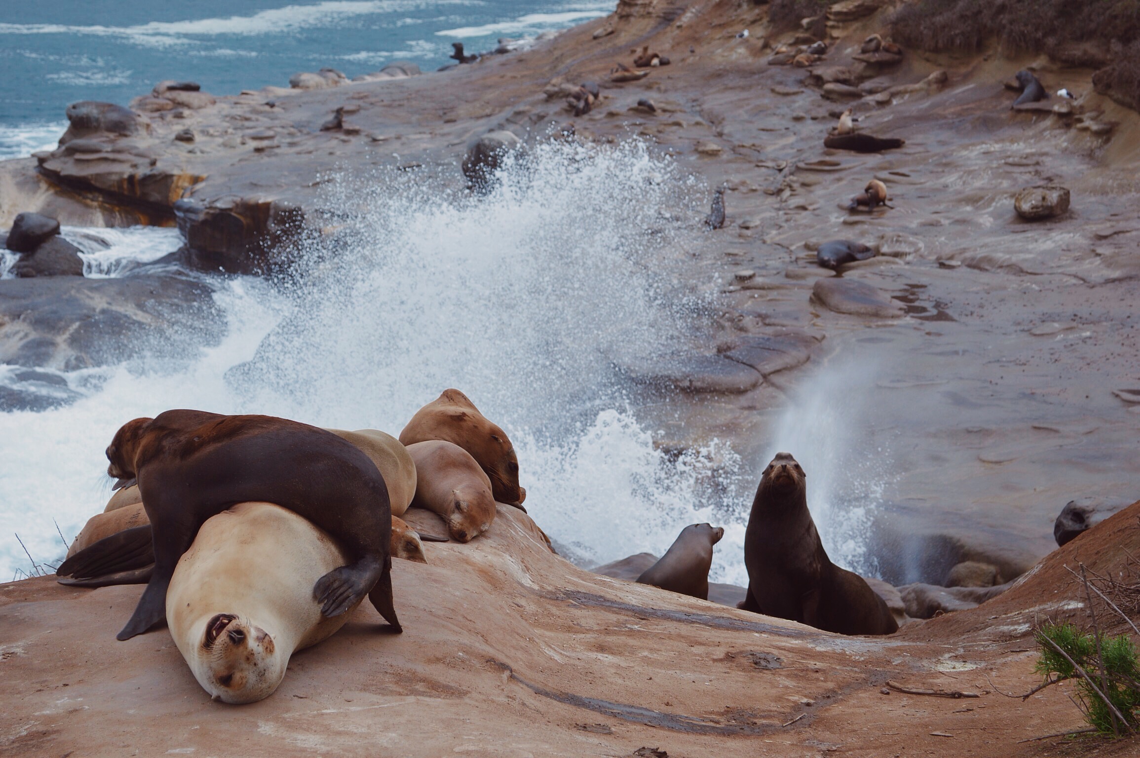 Processed with VSCOcam with kk2 preset